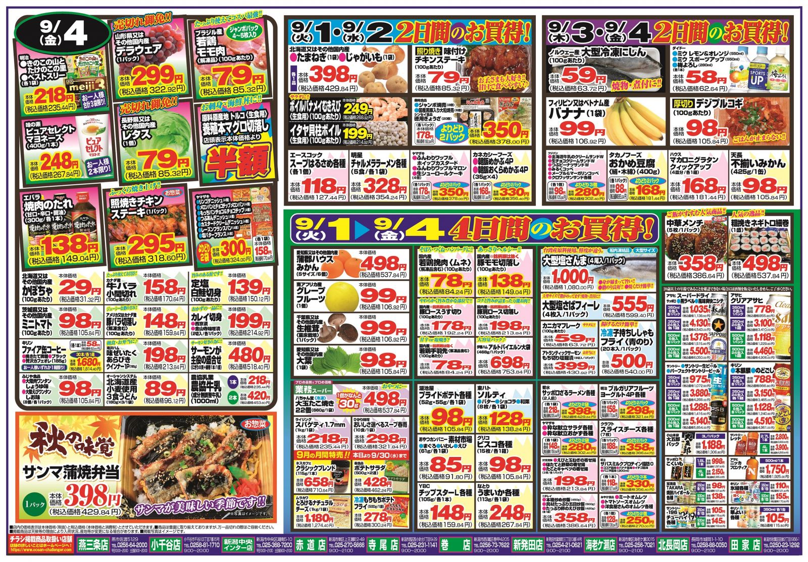 活動歴および当時の関連ビジュアル記録